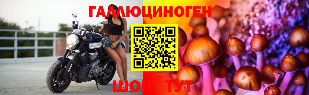 Псилоцибиновые грибы прущие грибы Махачкала